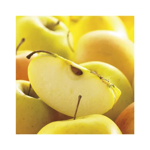 Solution jardin:Pommier Tentation® Delblush. En racine nue, forme 1/2 tige calibre 6/8