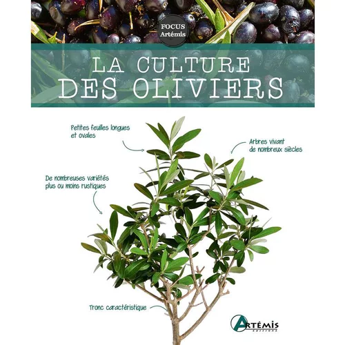 Extérieur sélection:Livre "La culture des oliviers" aux Éditions Artémis