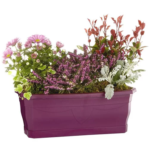 Le compagnon du jardin:Composition d'extérieur mélange violet rose - La jardinière de 40 cm