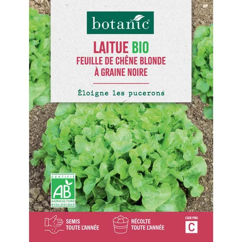 Jardin chez vous:Graines de laitue feuille de chêne blonde à graine noire bio botanic® - graines feuille semer