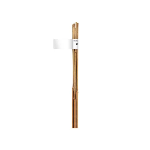 Bien pensé extérieur：Tuteur bambou naturel coloris beige Ø 8/10 mm x 0,90 m
