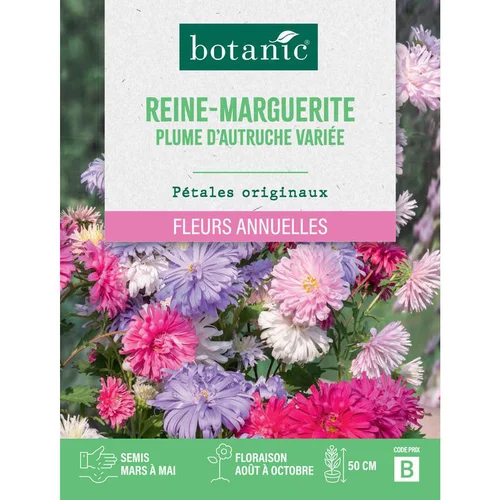 Pour simplifier le jardin：Graines de fleurs de Reinemarguerite plume d'autruche ou Aster de Chine variée botanic®