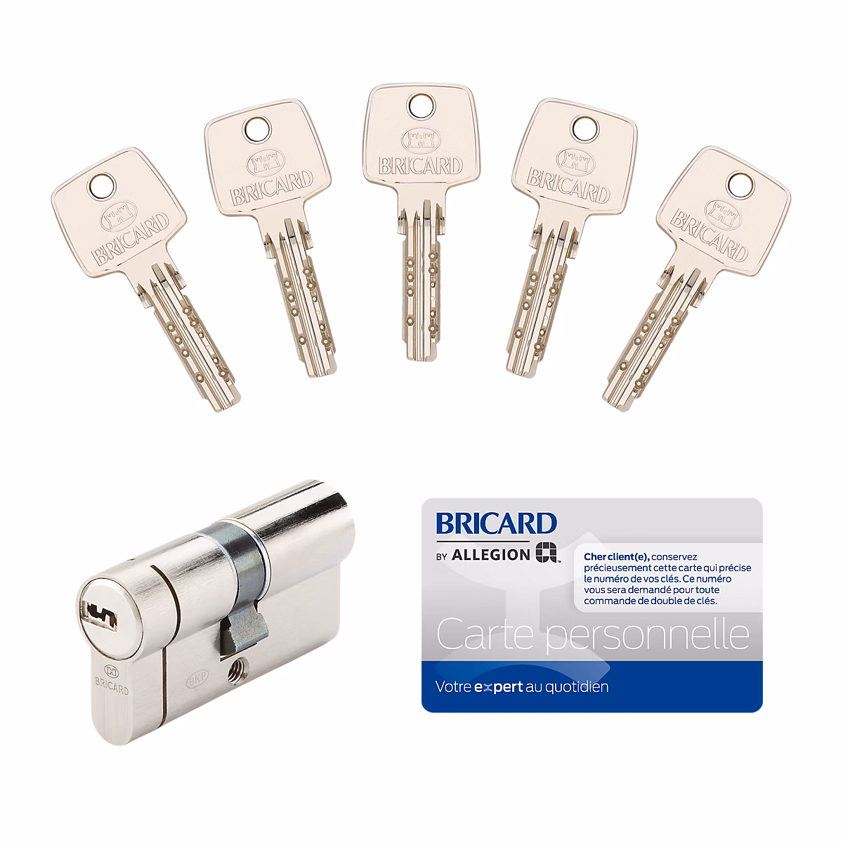 Cylindre de serrure Bricard Nexo 10 débrayable L.30 × 30mm 5 clés
