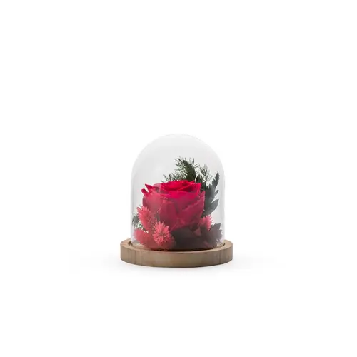 Extérieur pratique：Verrine de végétaux stabilisés mix rouge Naturalys Cloche - Ø 12 x H 13 cm