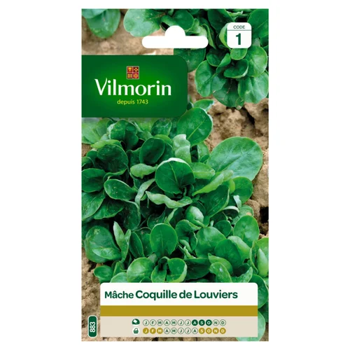Moderne au jardin：Mâche Coquille de Louviers Vilmorin - graines à semer