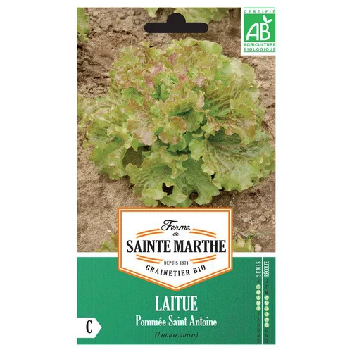 Pour créer votre univers jardin:Graines de Laitue pommée Saint Antoine bio Ferme de Sainte Marthe - 500 graines à semer
