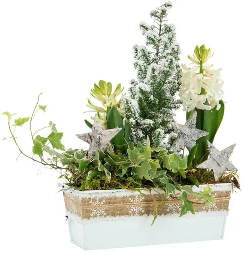 Maison & extérieur：Composition jardinette pot zinc blanc décor ruban rustique - 22 cm