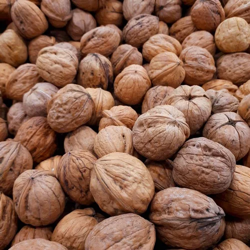 Nature facile:Noyer Franquette. Le pot de 15 litres