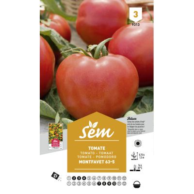 Graines potagères tomate (Montfavet)