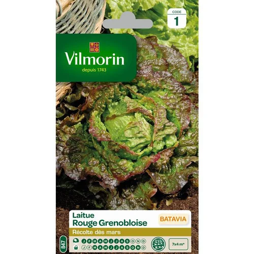 Pour embellir le jardin:Graines de Laitue Batavia rouge grenobloise Vilmorin - graines à semer