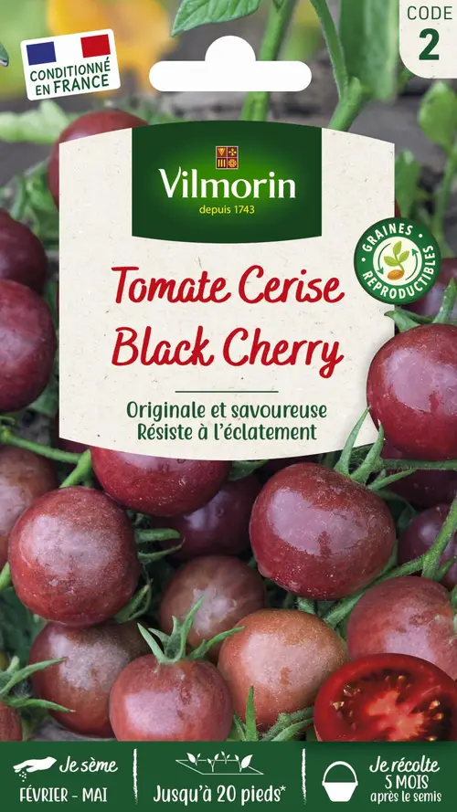 Idée pratique:Graines de Tomate black cherry Vilmorin - graines à semer