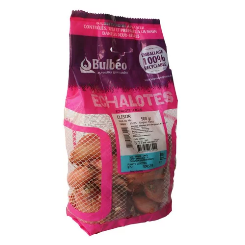 Jardin idée:Échalote elisor filet de 500 g calibre 15 à 35