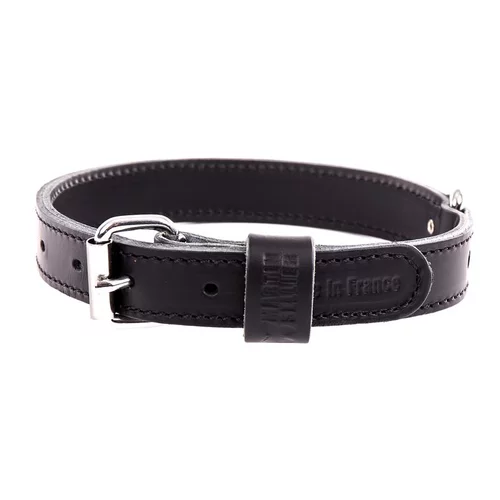 Moderne au jardin：Collier en cuir double épaisseur pour chien coloris noir - 65 cm