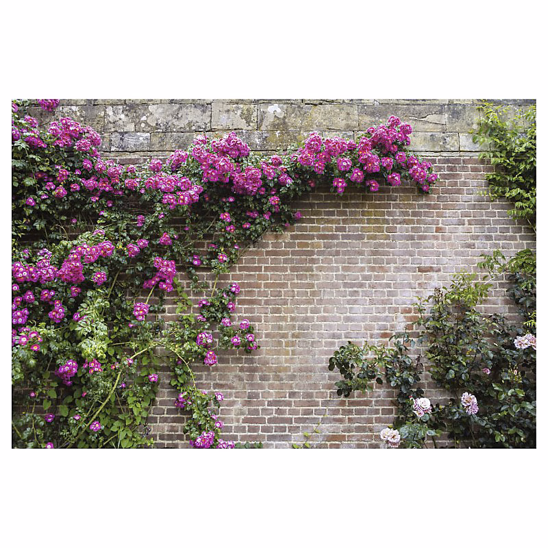 Brise vue imprimé FLOWERS WALL – H.2 x L.3 m, 100% occultant, Made in France par Scenolia + kit de fixation offert