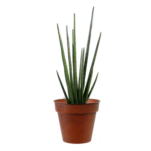 Espace vert essentiel：Pot horticole en acier peint brun antique Ø 19 x H 17 cm
