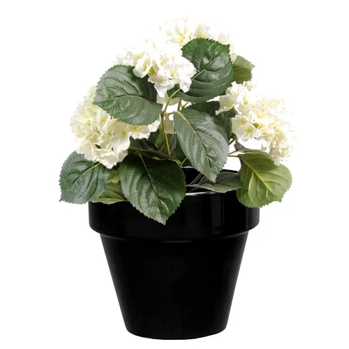 Jardin pratique：Pot horticole en terre cuite émaillée Noir – D19 x H17