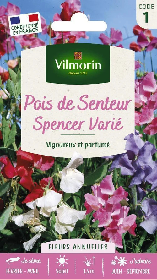 Choix au jardin:Graines de Pois de senteur Spencer varié Vilmorin - graines à semer