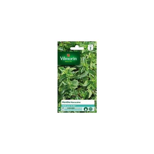 Jardin & idées:Graines de Menthe marocaine Vilmorin - graines à semer