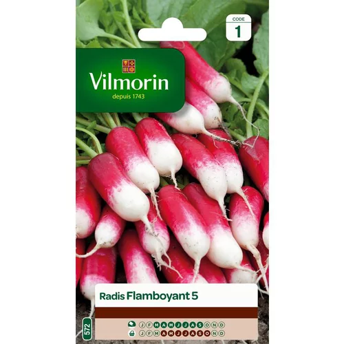Pour votre espace vert：Graines de radis flamboyant Vilmorin - graines à semer