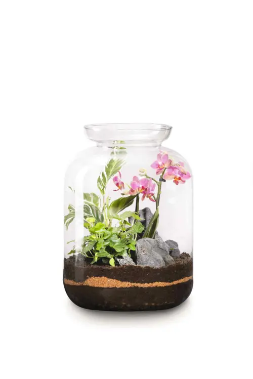 Utile dehors：Terrarium Bonbonne S Elégant botanic® - Ø 25 x 31 cm
