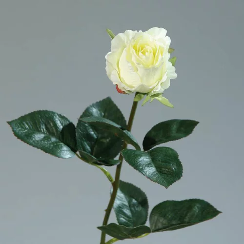 Qualité pour le jardin:Rose colombienne artificielle coloris crème