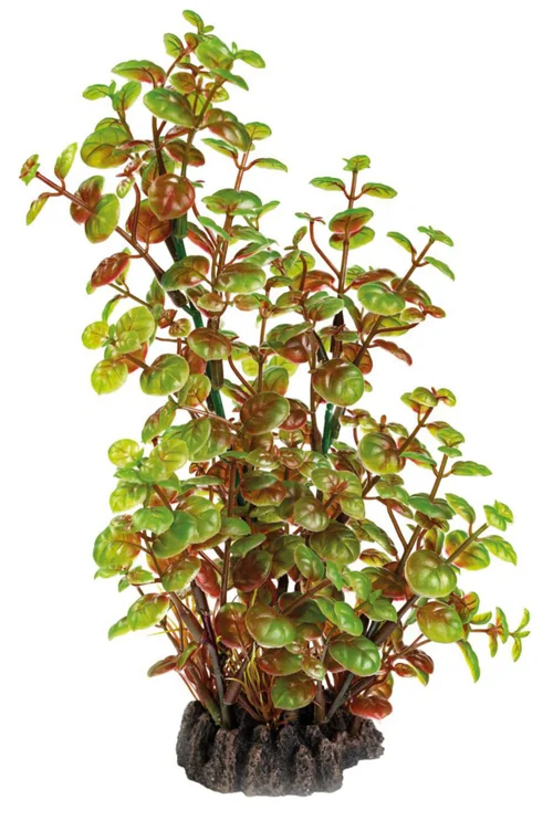 Espace vert sélection：Plante artificielle pour aquarium ou terrarium coloris vert Rotala SuperFish Art Plant M - 25 cm