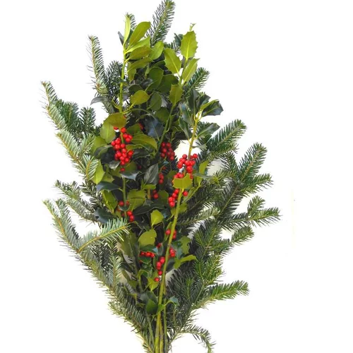 Jardin et maison:Bouquet de branches de sapin, houx et bouleau vert et rouge pour décoration de Noël - 50/60 cm