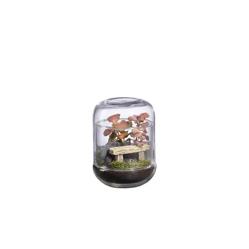 Déco au jardin:Terrarium autonome Capsule Landscape botanic®