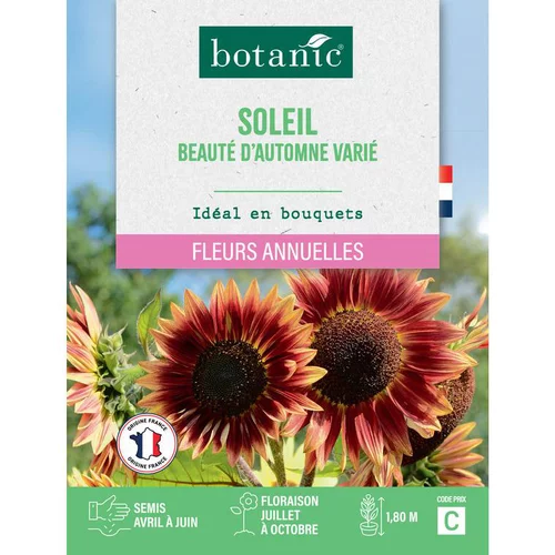 Extérieur équipement：Graines de soleil beauté d'automne varié botanic® - graines à semer