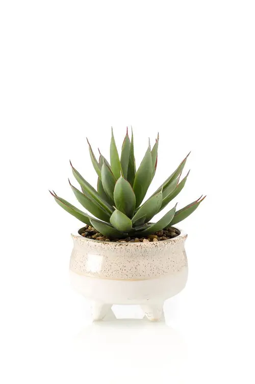 Moderne extérieur:Echeveria artificielle vert et rouge en pot décoratif - Ø 17 x H 20 cm