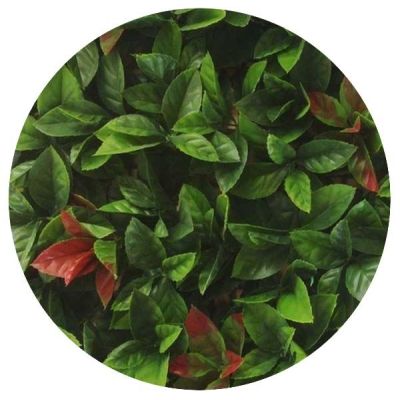 Plaques clipsables de feuillage artificiel 3m² (Lot de 12) (Red Robin)
