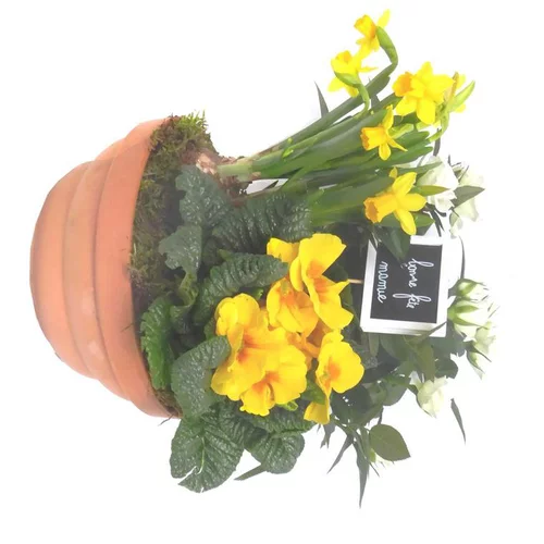 Extérieur nature：Coupe pour extérieur - La coupe