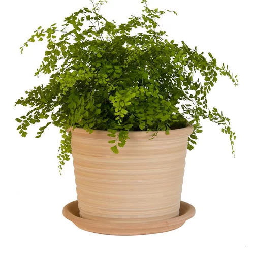 Pour embellir vos extérieurs:Pot strié gamme cocio liso Ø 40 cm