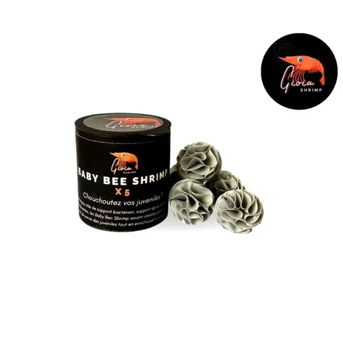 Jardin facile:Abri baby bee shrimp Gioiashrimp – boîte de 5