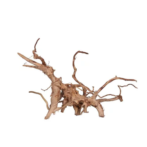 Bien pratique à l’extérieur：Racine Vigne rare rouge, Entre 40 et 80 cm