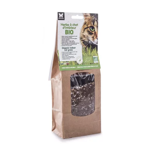 Utile jardin：Herbe à chat bio à semer - barquette de 130 g