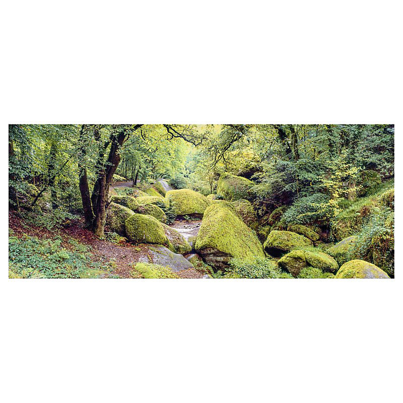 Brise vue imprimé HUELGOAT – H.2 x L.5 m, 100% occultant, Made in France par Scenolia + kit de fixation offert