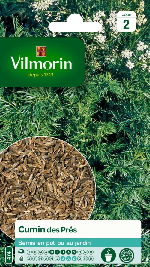 Sélection nature:Cumin des Près Vilmorin - graines à semer