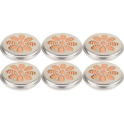 Spirales citronelle dans brûleur en métal (Lot de 6)