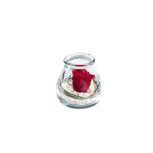 Choix pratique：Verrine de végétaux stabilisés rose rouge Naturalys Samy S - Ø 10 x H 10 cm