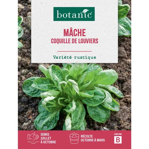 Pour vivre le jardin autrement：Graines de mâche coquille de Louviers botanic® - graines à semer