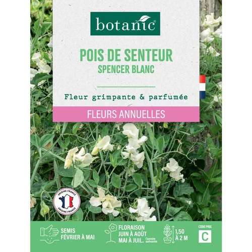 Jardin utile：Graines de fleurs de Pois de senteur spencer blanc botanic®