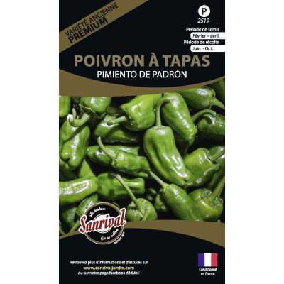 Graines potagères premium poivron (Padron spécial tapas)