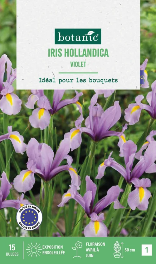 Choix au jardin：Iris hollande coloris violet botanic® - 15 bulbes