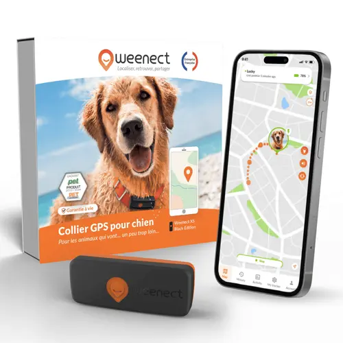 Tendance extérieur：Collier GPS pour chien coloris noir Weenect