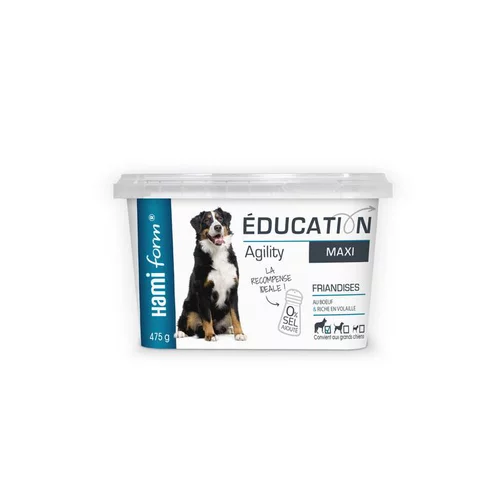 Une idée maline pour l’extérieur：Friandises pour chien Hamiform éducation maxi - 475 g