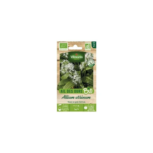 Moderne au jardin:Ail des ours Bio Vilmorin - graines à semer