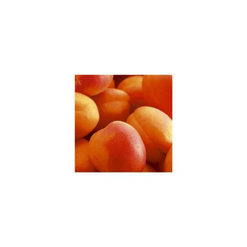 À avoir pour l’extérieur：Abricotier Rouge Tardif Delbard ®Delmast. Le pot de 12 litres, forme gobelet