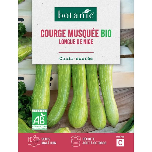 Accessoire extérieur：Graines de courge longue de Nice bio botanic® - graines à semer