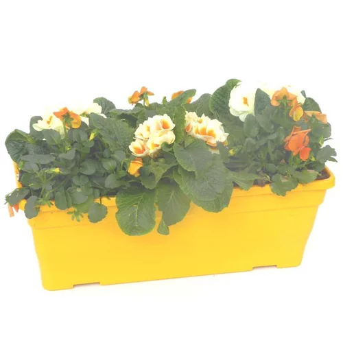 Essentiel pratique：Jardinière de Printemps multicolore. La jardinière de 40 cm